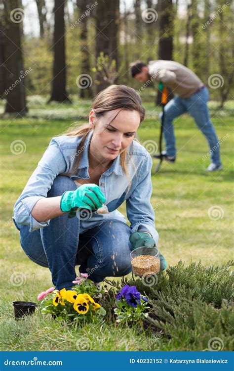 Woman fertilizing flowers stock photo. Image of blooming - 40232152