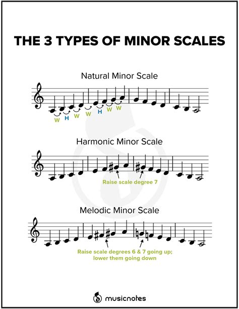 The 3 Types of Minor Scales in Music | Music theory, Music theory ...