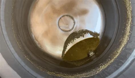 Remove Hops Before Fermentation? (Hop Oil Extraction) – Frugal Homebrew