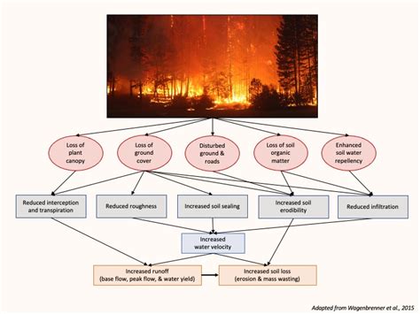 Mitigating the Lasting Effects of Wildfire - California Ecosystem ...