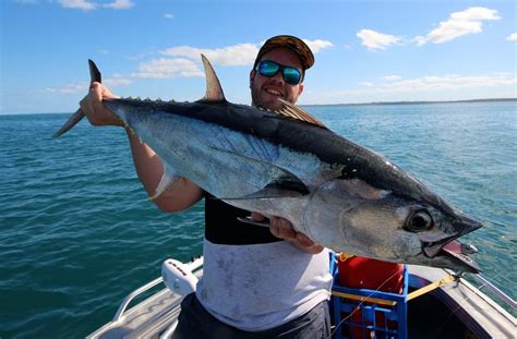 How to Catch Longtail Tuna on Lures – Tackle Tactics