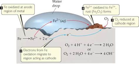 FIGURE 20.22 Corrosion of iron in contact with water. One region of the ...