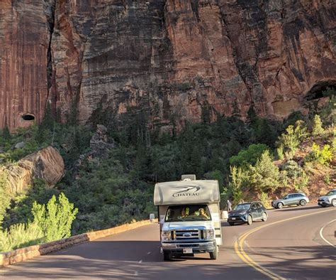 The Traveler's Guide to Zion National Park Wildlife