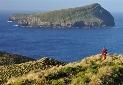 Ultima Thule: Antipodes Islands - hostile and barren, the first land to ...