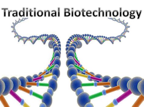 PPT - Traditional Biotechnology PowerPoint Presentation, free download ...