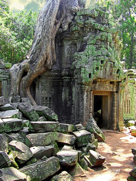 Te Prohm Temple Overgrown Ruins 4 Photograph by Mark Sellers | Pixels