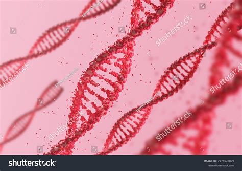 Helix Human Dna Structure Dna Structure Stock Photo 2276578899 ...