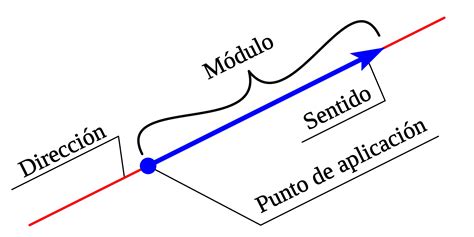 ¿Qué son las magnitudes escalares y vectoriales? - Curiosoando