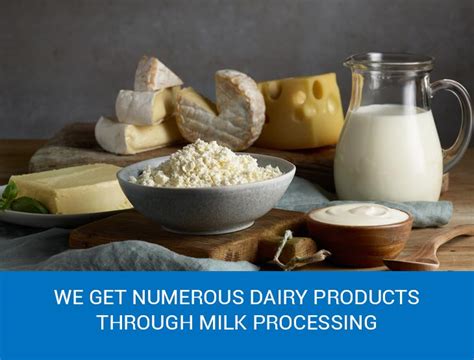 Milk Pasteurization Equipment: MILK PROCESSING EQUIPMENT FOR SMALL ...