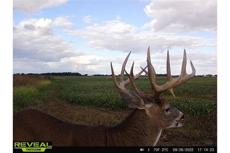 This Is The Second Big Buck Ohio Teenager Tagged In One Year - North ...