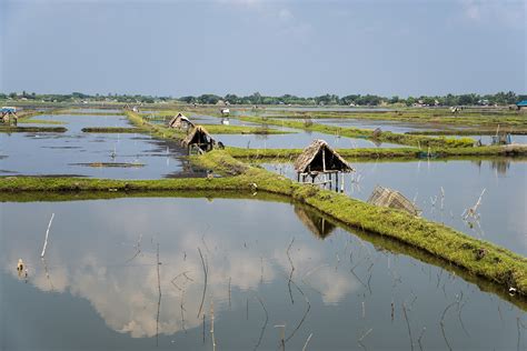 What Is the Environmental Impact of Aquaculture?