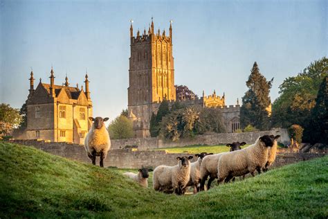 Cotswolds Wool Trade | A Historic Tapestry Uncoded