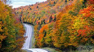 MaineFoliage.com: When & Where to Visit: Northern Maine (Zone 6 & 7)