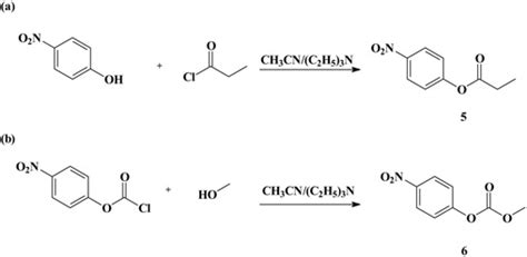 Scheme 1 Synthesis of the truncated substrates 5 and 6 (a) Reaction of ...