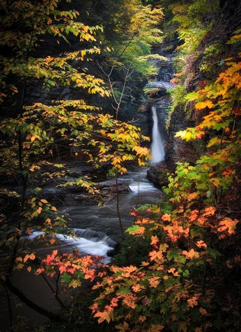 Surrounded by Fall | Watkins glen state park, Scenery, Beautiful landscapes