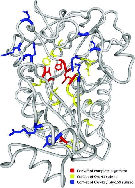 Alcohol dehydrogenase family structure 1CDO-A with CMA network ...