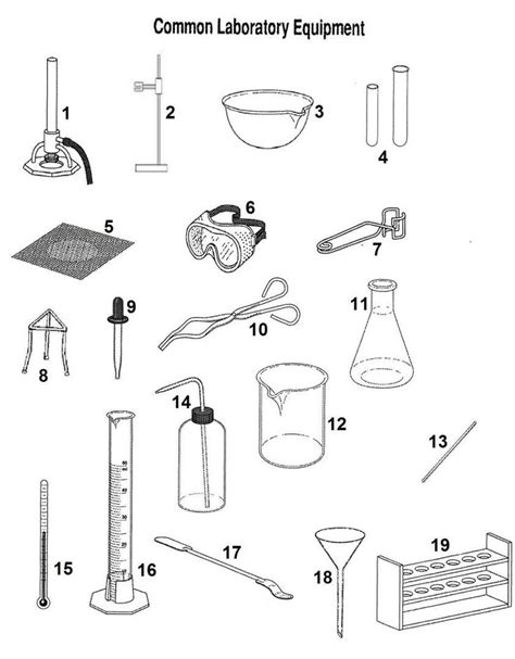 10+ Worksheet Science Lab Equipment - Chart-sheet.com | Lab safety, Lab ...