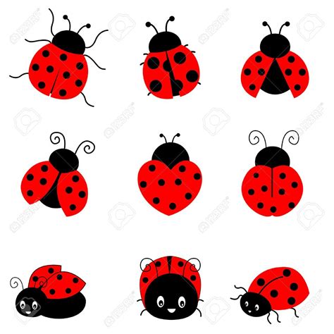 Lady Bug Drawings For Kids