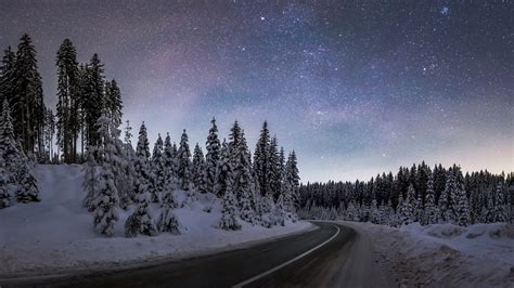 Download wallpaper: Winter night at Pokljuka forest 1366x768