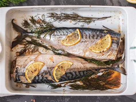 King Mackerel Recipes | Dandk Organizer