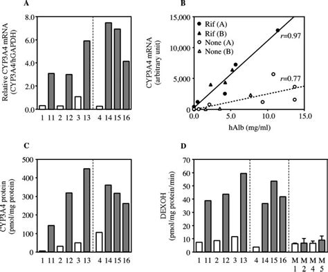 Induction of human CYP3A4 expression in rifampicin-treated chimeric ...