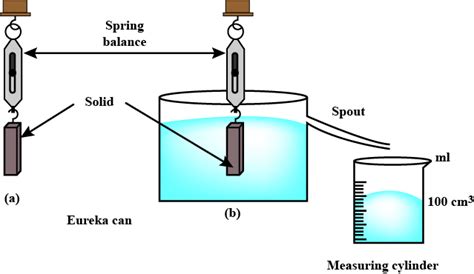 Describe an experiment to verify Archimedes' principle.