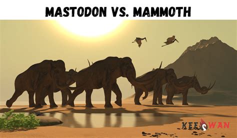 Mastodon vs. Mammoth: Unraveling the Prehistoric Giants – Keeswan