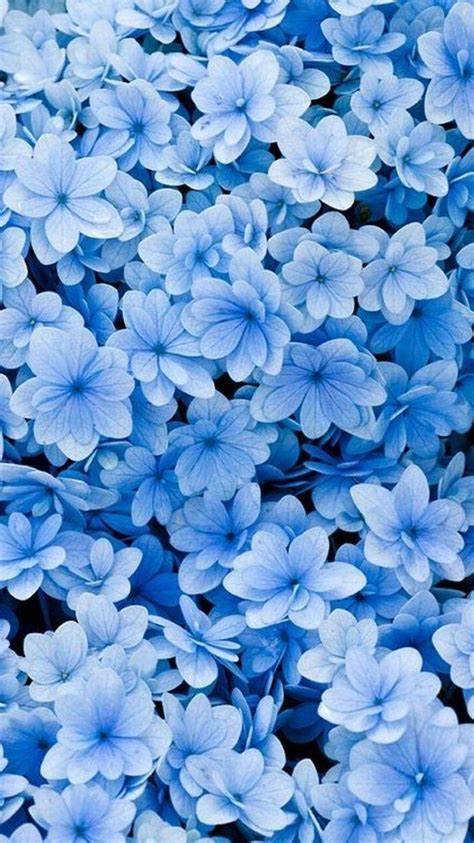 Blue Flowers Background