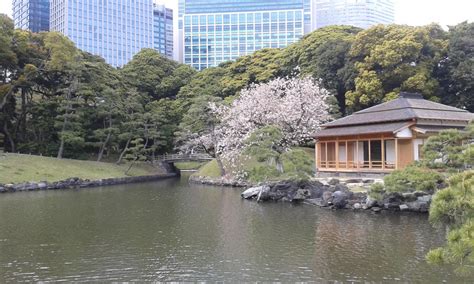 Hamarikyu Gardens by ValrossOskar on DeviantArt