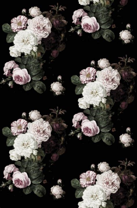 Black Floral Wallpapers on WallpaperDog