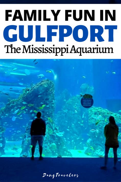 Mississippi Aquarium: Ticket Prices, Hours and Things to Know – Dang ...