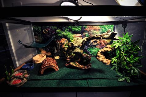 Doobie The Bearded Dragon's Terrarium | This is a 10mm Shot … | Flickr