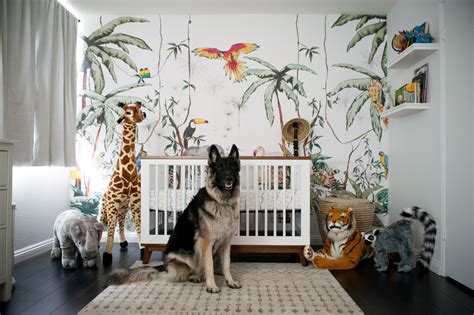 +18 Safari Wallpaper Nursery Ideas