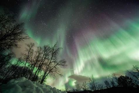 From Tromsø: Aurora Borealis Tour | GetYourGuide