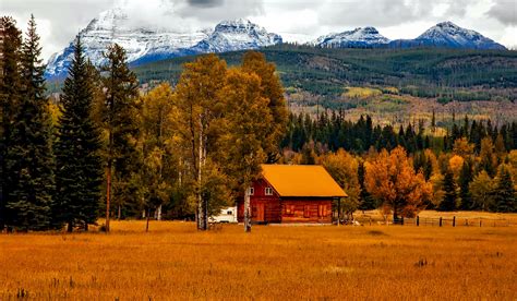 Алтай Фото Природа Домик В Лесу – Telegraph