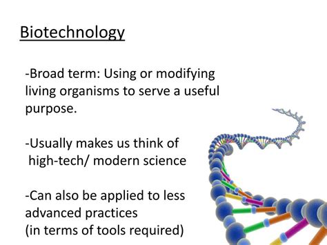 PPT - Traditional Biotechnology PowerPoint Presentation, free download ...