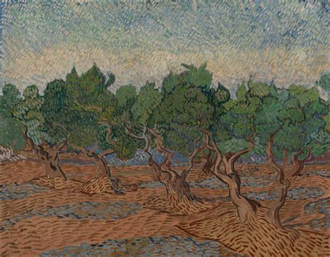 Vincent van Gogh - Olive Grove - Van Gogh Museum