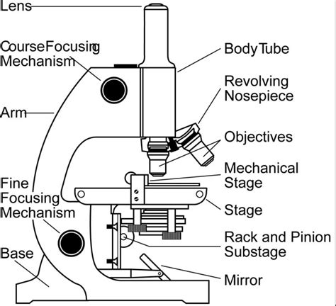 Microscope | Types + Parts + History + Facts | - Science4Fun