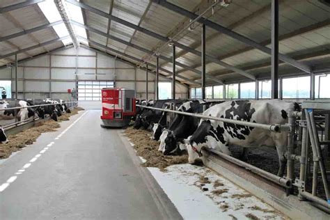 Top 50 Dairy Farming Tips, Ideas, and Techniques