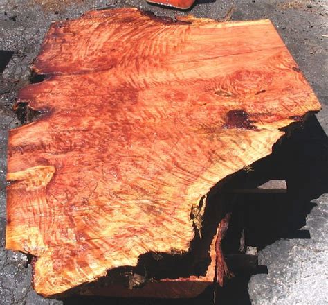 Redwood Burl by Artisan Burlwood | Redwood burl, Burled wood, Wood slab