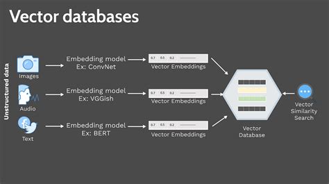 Vector databases — a gentle introduction | by Biju Krishnan @ DataSiens ...