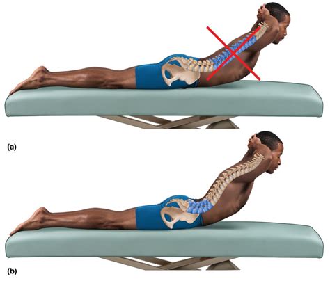 lumbar extension > OFF-61%