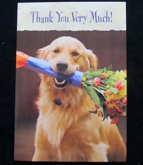 Leanin Tree Thank You Dog Dogs Humor Greeting Card Multi Color R143 ...