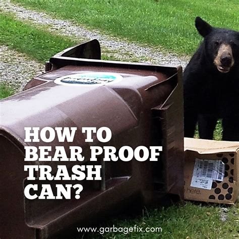 How To Bear Proof Trash Can? - Comprehensive Guide