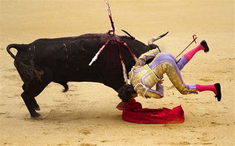 Download Bullfighting Sports HD Wallpaper