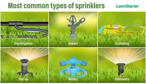 Types of Sprinklers for Your Lawn and Garden