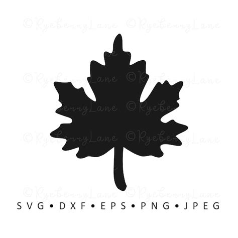 Maple Leaf SVG Maple Leaf Vector Maple Leaf Clipart Autumn SVG - Etsy