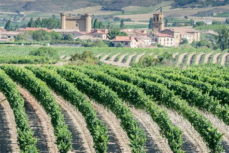 Your 2024 guide to Rioja wine region | Winetourism.com