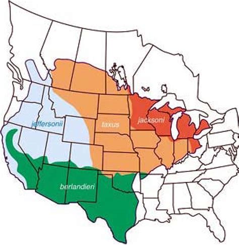 American Badger Range Map