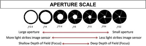 Electronics-How camera aperture works – Howthingswork.org